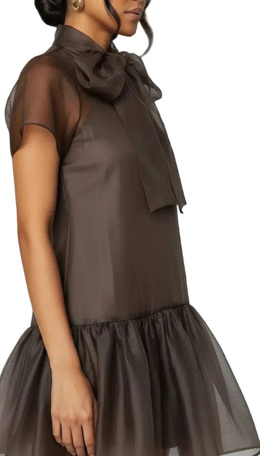 Brown dress with sheer sleeves and a bow detail on a white background