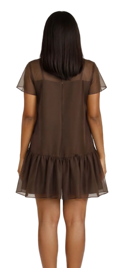 Back view Brown sheer dress with ruffled hem on a white background